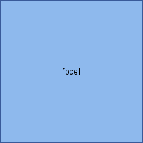 focel