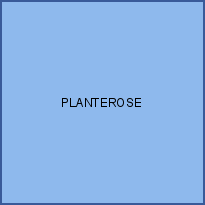 PLANTEROSE