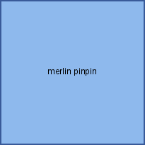 merlin pinpin