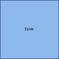 Epide