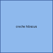 creche hibscus