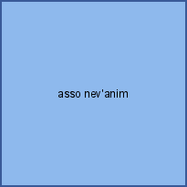 asso nev'anim