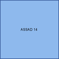 ASSAD 14