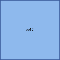 pp12