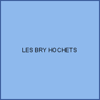 LES BRY HOCHETS