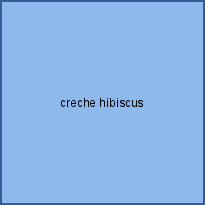 creche hibiscus