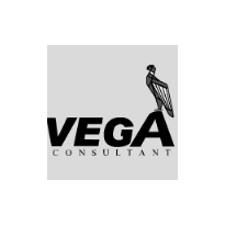 VEGA CONSULTANT