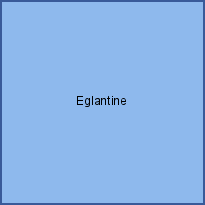 Eglantine