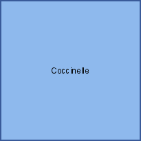 Coccinelle