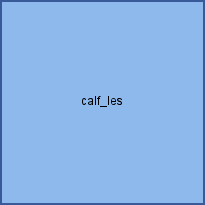 calf_les