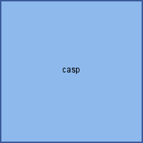 casp