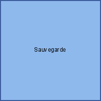 Sauvegarde