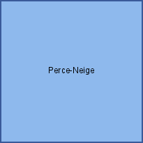 Perce-Neige