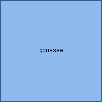 gonesse