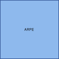 ARPE