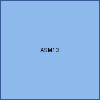 ASM13  