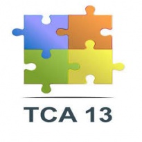 TCA 13