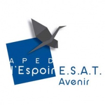 APED ESAT AVENIR
