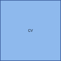 CV 
