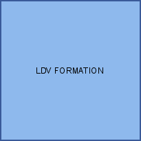 LDV FORMATION