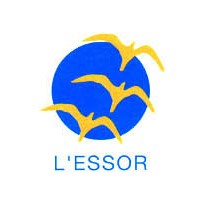 sessad l'essor