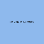 les Zèbres de l'Atlas