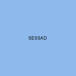 SESSAD