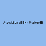 Association MESH - Musique Et Situations de Handicap