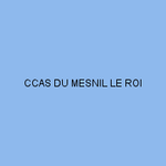 CCAS DU MESNIL LE ROI