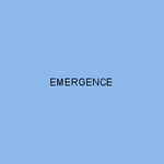EMERGENCE