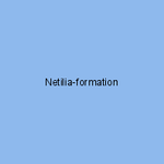 Netilia-formation